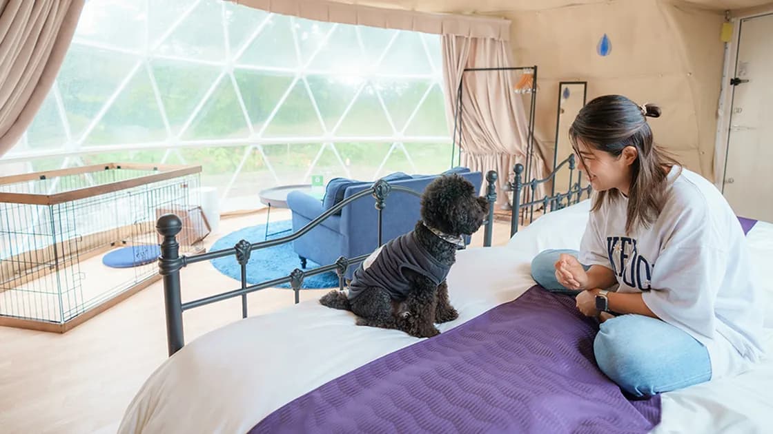 rain drop(愛犬同伴可)