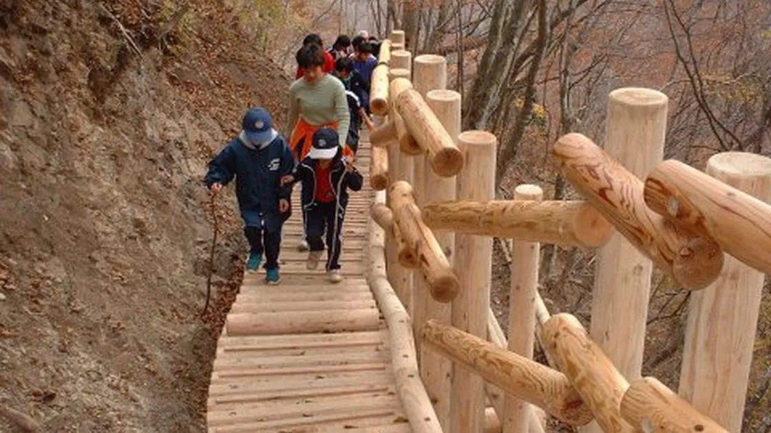 パノラマ台ハイキング