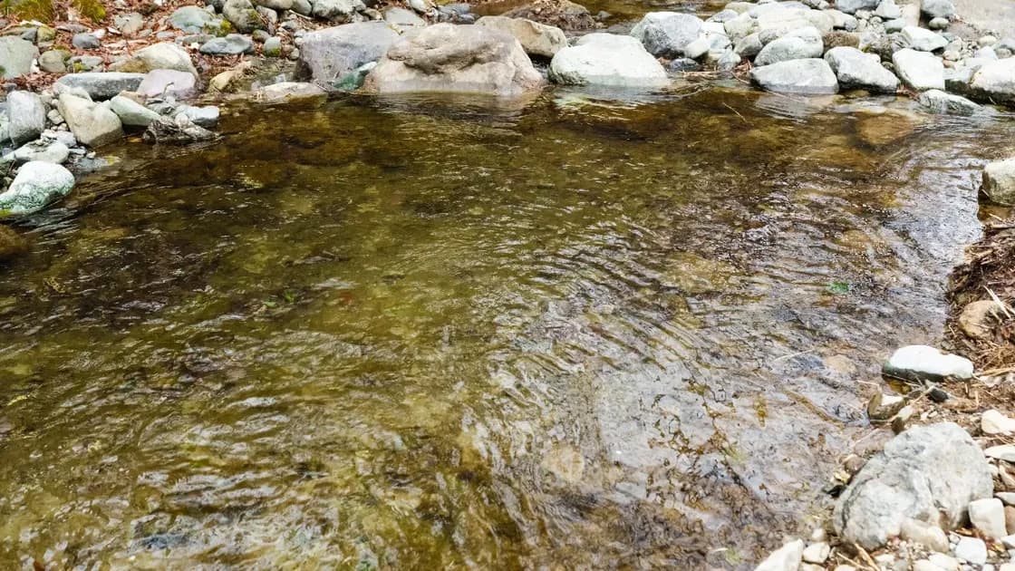 プライベート渓流