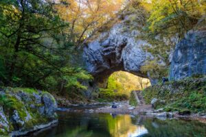 こざこ森 - Slide 6