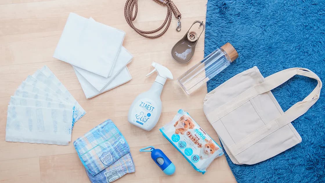 ペットの愛犬とご一緒に