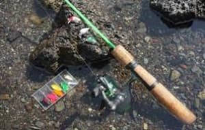 Pound Lure Fishing ポンド・ルアーフィッシング(施設内)