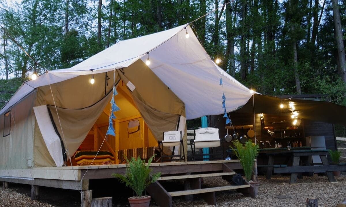 PAWS GROUND(パウズグラウンド)