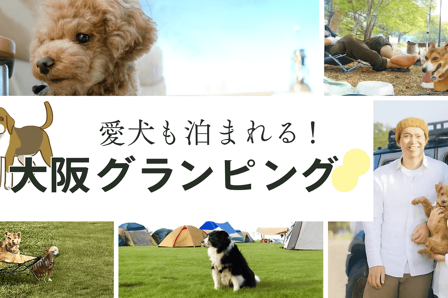 【大阪】愛犬とグランピング!驚きの体験が待ってる人気施設を大公開!