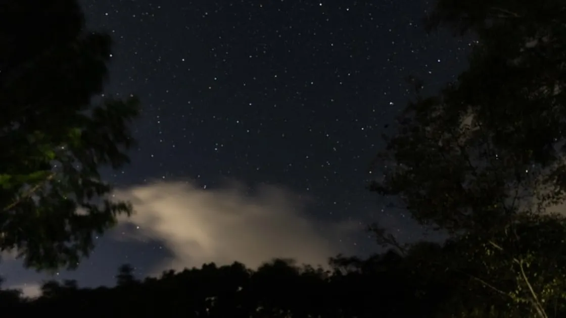 美しい星空観賞