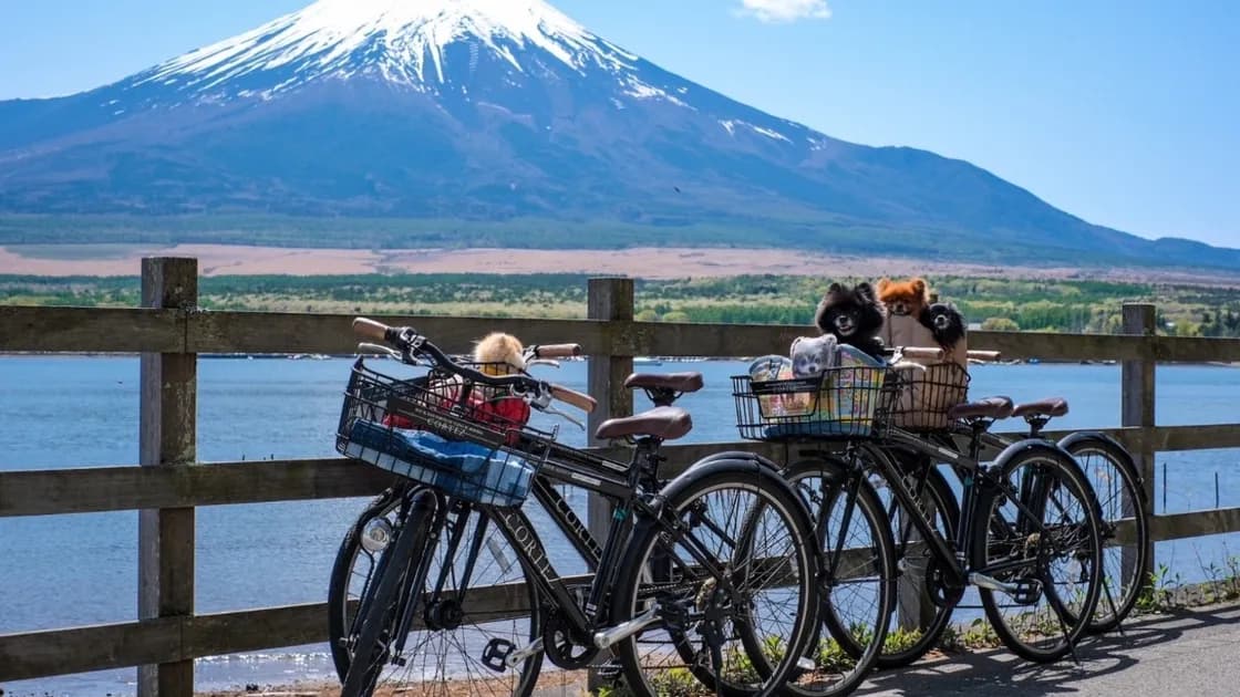 レンタサイクル