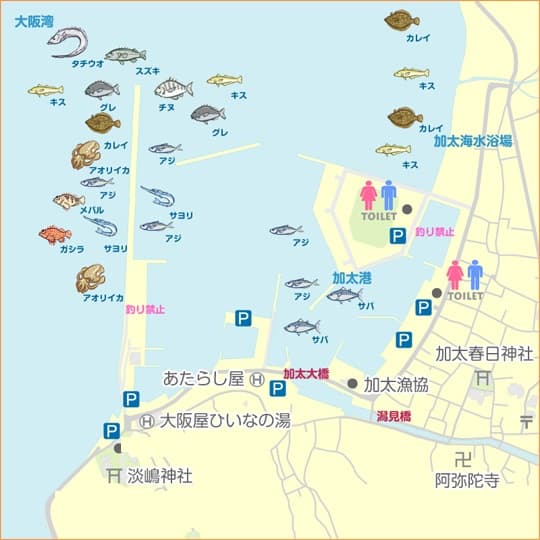 関西有数の釣りスポット 加太【施設外】