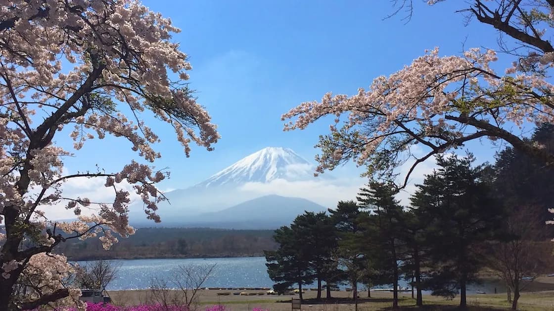 精進湖畔の富士山絶景ポイント