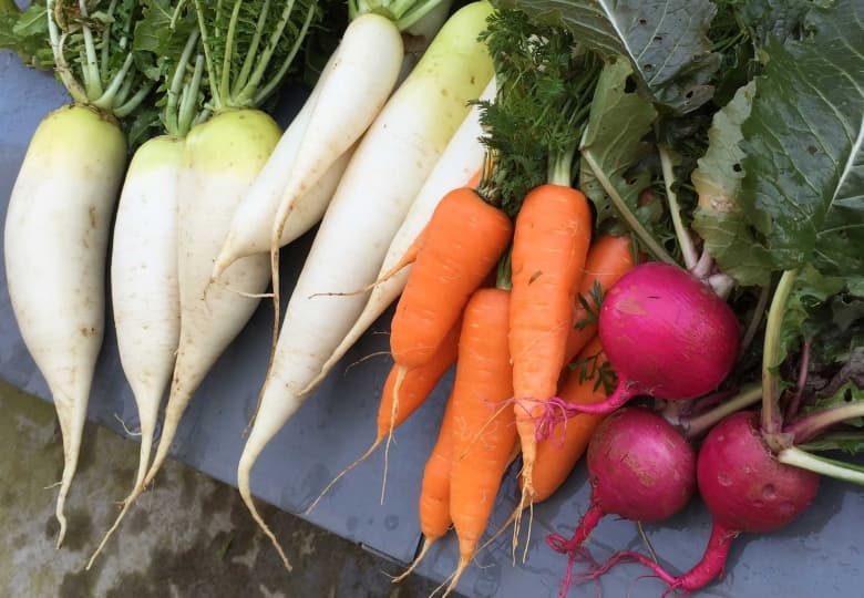 畑まるごとビュッフェ