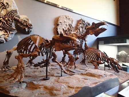 埼玉県立自然の博物館【施設外】