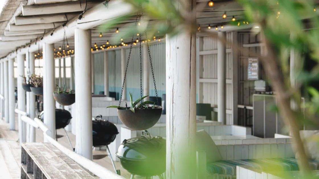 WILD BEACH KISARAZU -SEASIDE GRAMPING PARK-(ワイルドビーチ木更津) - Image 4