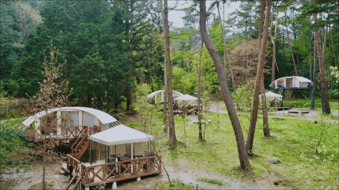 ツリードーム南信州まつかわ