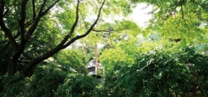 河口湖カントリーコテージBan - Image 5