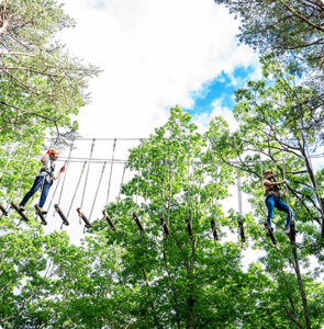 TOWAピュアコテージ - Slide 5