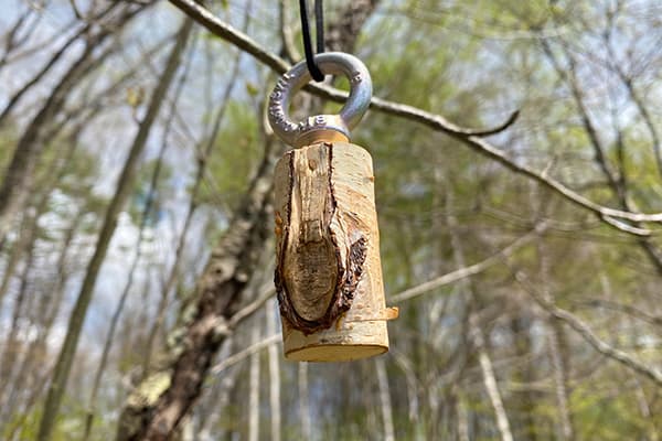森のバードコールづくり