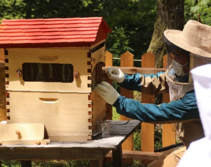 ルオムの森で採蜜体験「北軽のはちみつはハチ3つ(星みっつ)」