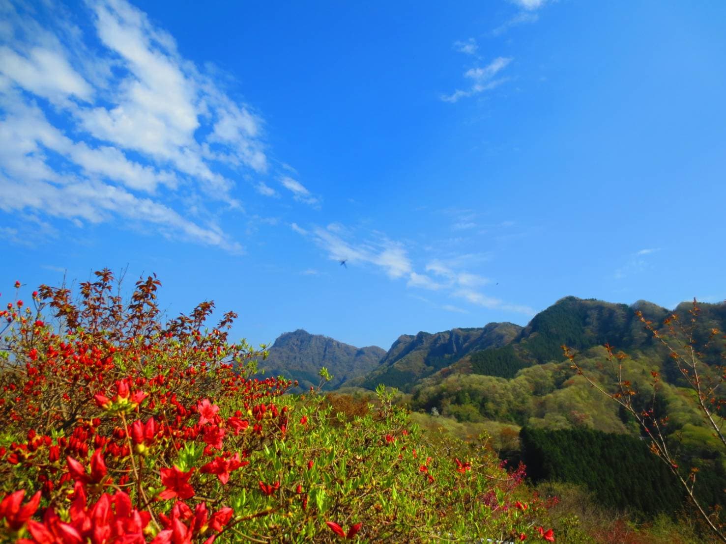 つつじヶ丘展望台