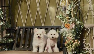 The Forest Garden KIMINOMORI(ザ・フォレストガーデンキミノモリ) - Image 4