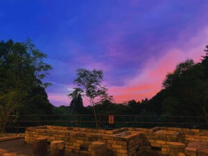 The Forest Garden KIMINOMORI(ザ・フォレストガーデンキミノモリ) - Image 3