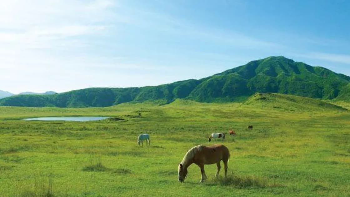 草千里ヶ浜【施設外】
