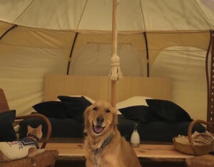 RITA’S RANCH 南軽井沢 - Image 1