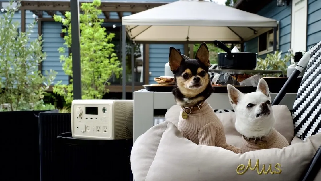 R GARDEN(アールガーデン) - Image 5