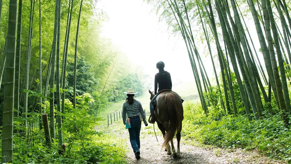 乗馬(提携施設)