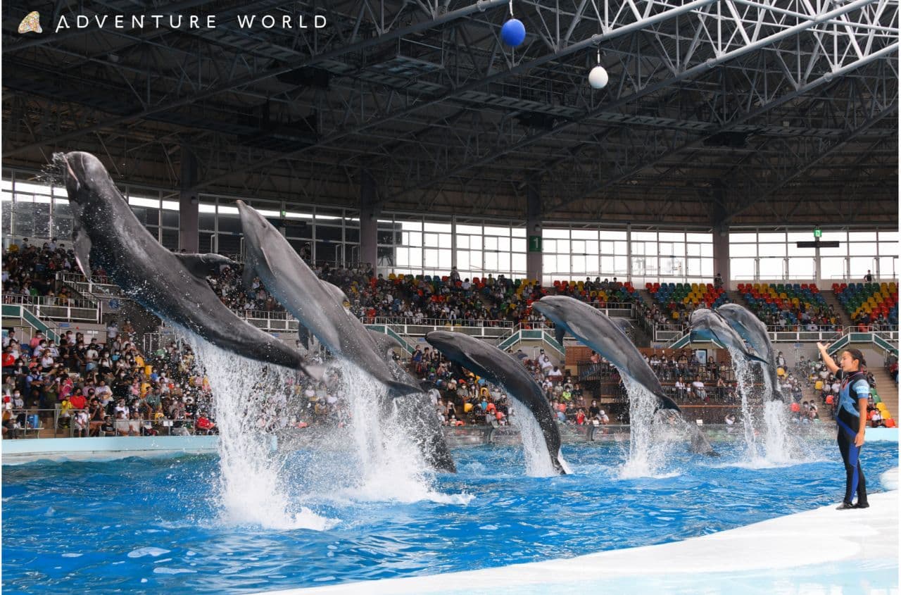 アドベンチャーワールド【施設外】