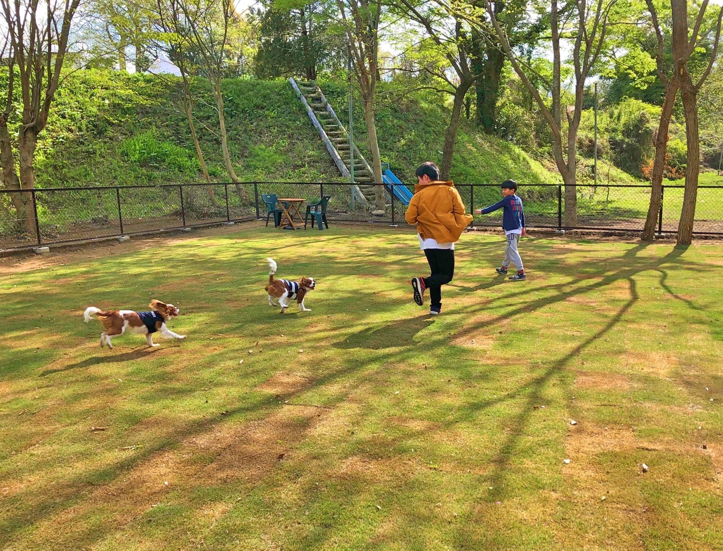 上小川レジャーペンション - Image 6