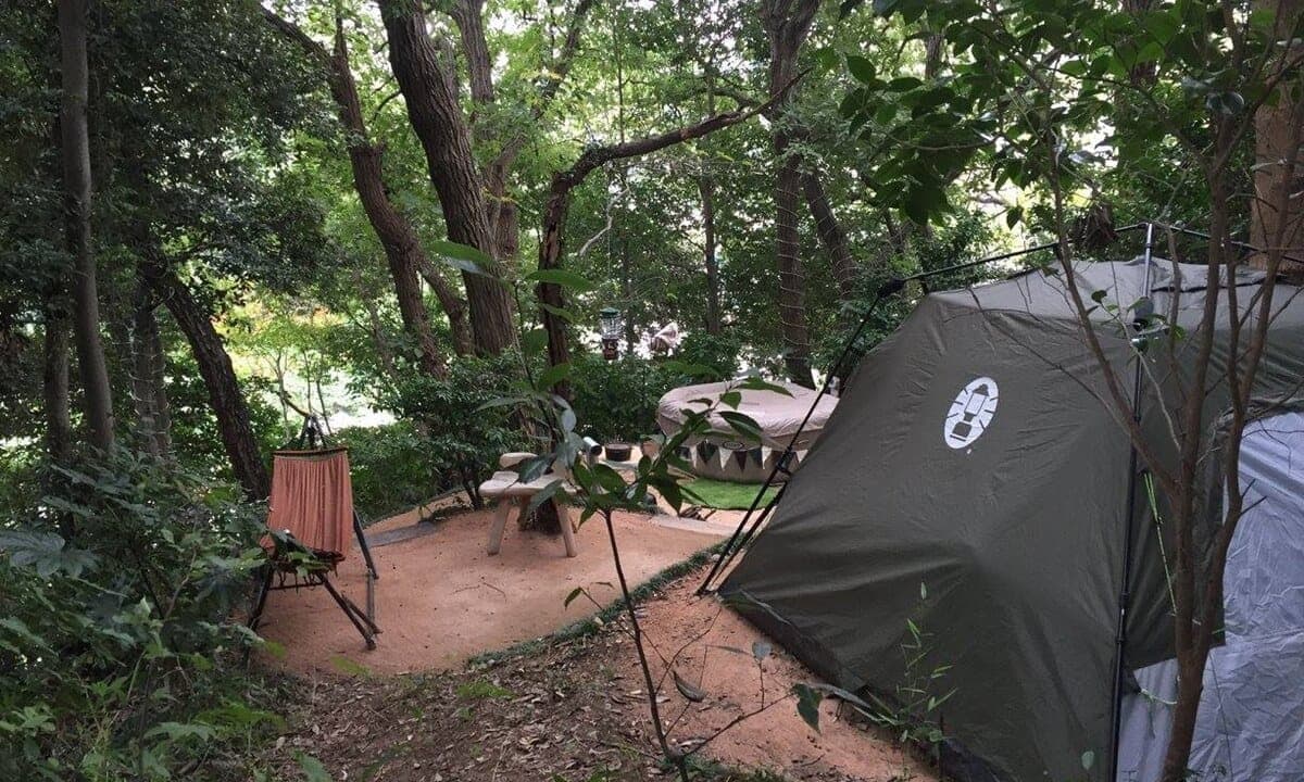 Nature Healing Lounge THE OUT – スピリチュアルドラゴンノーズ