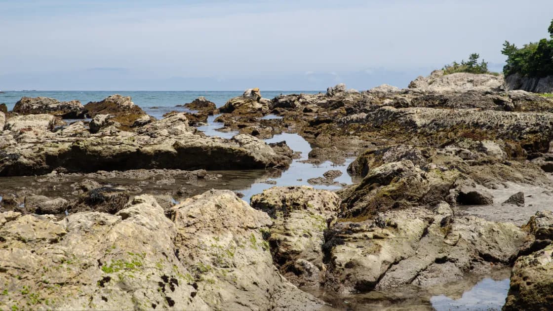 プライベートビーチ(江見太夫崎)