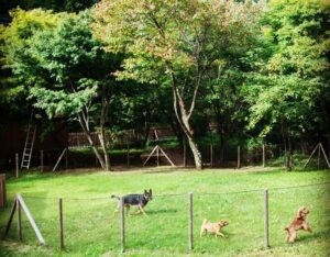 RITA’S RANCH 南軽井沢 - Image 3