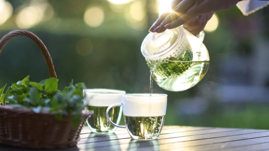 ハーブ自家栽培エリア