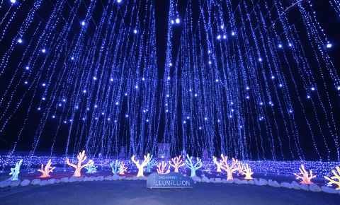 さがみ湖イルミリオン(施設内)