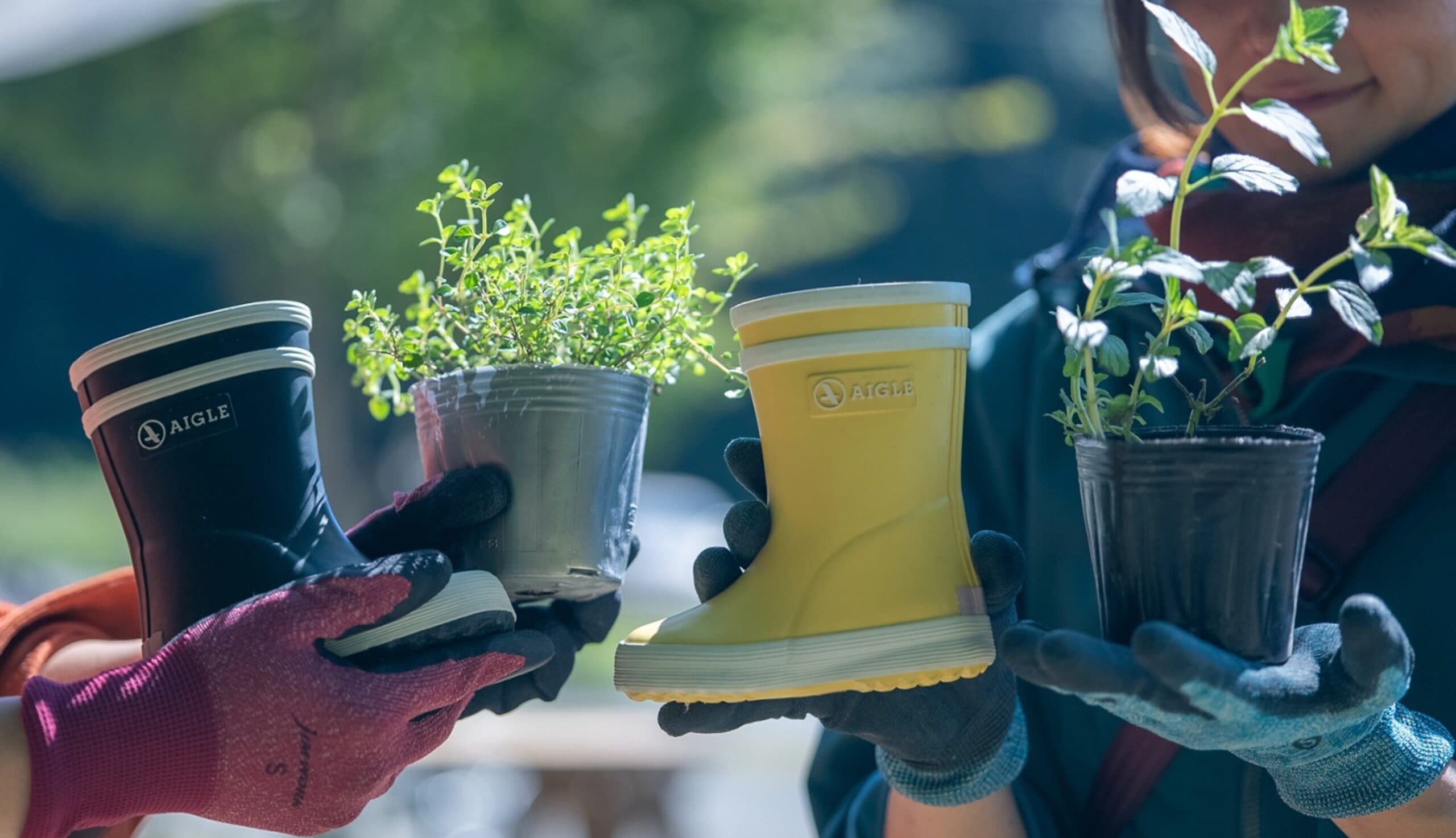 選べるアクティビティ