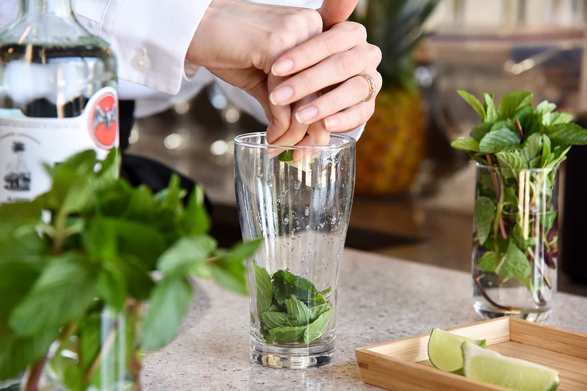 自然の中でロマンチックなディナー