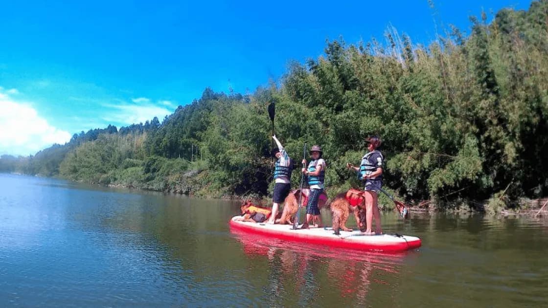 いずみパドルクラブ