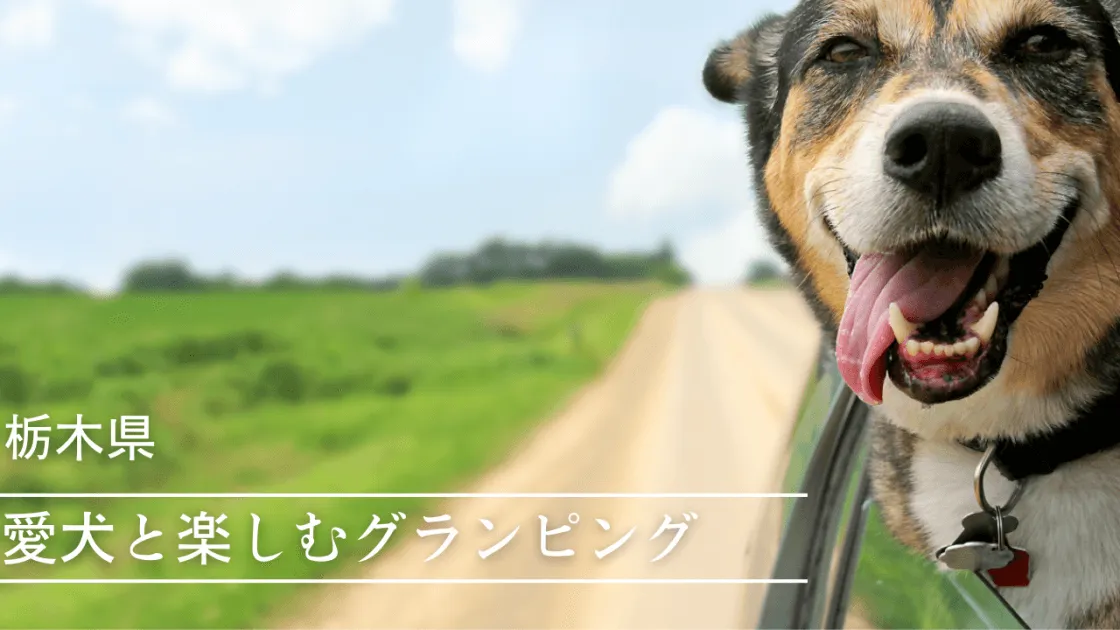 【栃木】愛犬とグランピング!ペットを連れていけるおすすめ施設