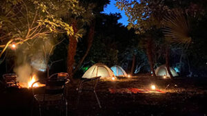 Nature Healing Lounge THE OUT – スターダストヒルトップ - Slide 4
